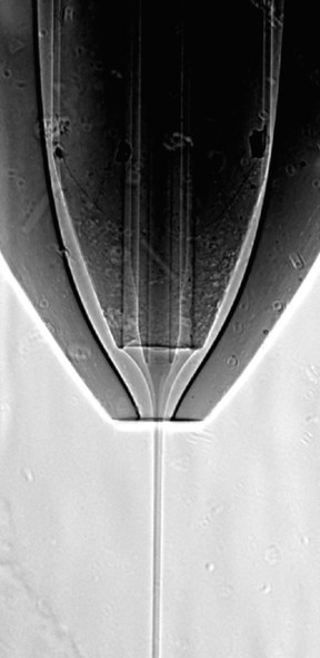 Radiograph of the working nozzle, showing the inner protein stream surrounded by the ethanol jet.

Credit: Dominik Oberthuer, DESY