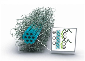 DNA origami.
CREDIT
cfaed
