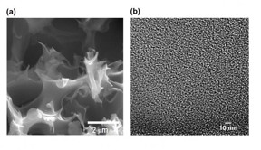 A scanning electron microscope image, left, and a high-resolution transmission electron microscope image show an activated, sulfur-containing porous carbon sample. The material created at Rice University can be tuned to balance carbon dioxide sequestration and methane selectivity.
CREDIT
Barron Research Group/Rice University