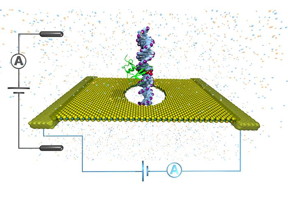 University of Illinois researchers developed a method to detect and map DNA methylation, which can be a sign of cancer, by threading the DNA through a tiny hole in a thin sheet of conductive material with a current running through it.
CREDIT
Image by Aditya Sarathy