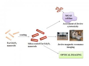 This is a schematic diagram of the europium doped gadolinium oxide nanorods and the silica coating to improve the biocompatibility. Invitro cytotoxicity analysis, invitro magnetic resonance imaging and optical imaging of the prepared samples were carried out.
CREDIT
NANO Journal