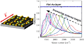 Schematic from the abstract of the Braun & Maier paper published in ACS Sensors (referenced above). (Published here with the permission of the author, Dr Braun)