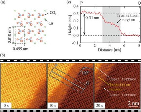 (a) Atomistic model of calcite surface. (b) The dissolution processes of calcite surface in water observed with high-speed FM-AFM. It is observed that the step is moving from lower-right to upper-left. Along the step is also seen the transition region. (c) Averaged height profile measured along the line PQ indicated in (b). The height of a monolayer step is ~0.3 nm, but that of the transition region is smaller. A terrace described in the Figure indicates a flat area at the atomic level on the crystal surface. The upper terrace is higher by one monolayer of CaCO3 than the lower terrace.
CREDIT
Kanazawa University