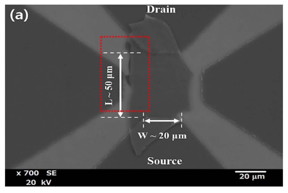 Scanning electron microscopy image of the near-infrared photodetector based on few-layered MoSe2.