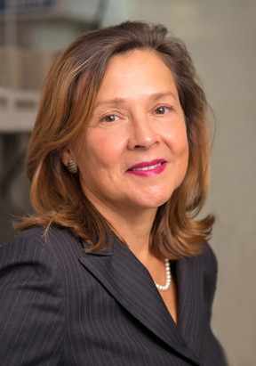 Naomi Halas (Photo by Jeff Fitlow/Rice University)

