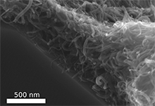 In this new process, the tiny, thread-like carbon nanotubes (CNTs) arrange themselves - almost like felting - to form a stable, tear-resistant layer.
Photo/Copyright: Fabian Schtt
