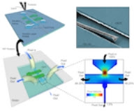Rice University researchers have developed a method using microfluidics to implant conductive, thin, flexible fibers into brain tissue. Implanted wires could help patients with neurological diseases and help scientists explore cognitive processes and develop implants to help people to see, to hear and to control artificial limbs. (Credit: Robinson Lab/Rice University)