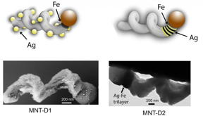 Schematic of the two designs (Credit: Ghosh and Ghosh, Sci. Robot. 3, eaaq0076-2018)