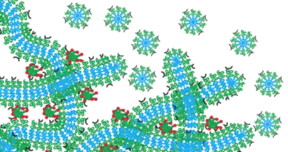 Evan Scott's hydrogel network functions as a drug depot that slowly degrades by breaking down into micelles.