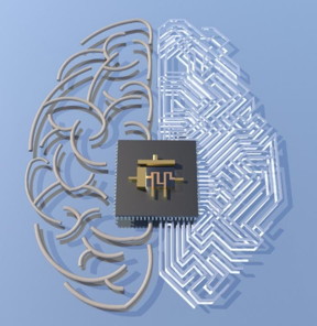 This is the memtransistor symbol overlaid on an artistic rendering of a hypothetical circuit layout in the shape of a brain.
CREDIT
Hersam Research Group
