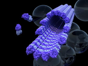 This is a single microtubule 'railway track' surrounded by bubbles of 'cargo' held inside cells.
CREDIT
University of Warwick