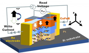 This is an illustration of an unexpected phenomenon known as zero field switching (ZFS) that could lead to smaller, lower-power memory and computing devices than presently possible. The image shows a layering of platinum (Pt), tungsten (W), and a cobalt-iron-boron magnet (CoFeB) sandwiched at the ends by gold (Au) electrodes on a silicon (Si) surface. The gray arrows depict the overall direction of electric current injected into the structure at the back of the gold (Au) contact and coming out the front gold contact pad. The CoFeB layer is a nanometer-thick magnet that stores a bit of data. A "1" corresponds to the CoFeB magnetization pointing up (up arrow), and a "0" represents the magnetization pointing down (down arrow).
CREDIT
Gopman/NIST