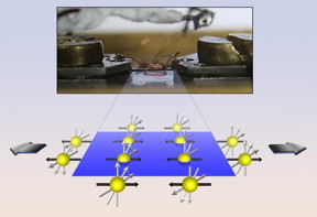 Top: A piece of BaFe2As2 is stretched while magnetic measurements are taken (the copper wire coil is part of the NMR device). Lower diagram shows atoms in a plane, with black arrows showing how magnetic spins lie in plane and point in opposite directions. Grey arrows show how the magnetic spin of atoms shifts as the material is stretched.
CREDIT
Nicholas Curro, UC Davis