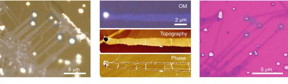 From left are 1) Optical images of MoS2 ribbons grown on a NaCl crystal, 2) Optical microscopy (OM) and corresponding AFM topography and phase images of a ribbon, and 3) Optical image of the ribbons transferred onto a SiO2/Si substrate.
CREDIT
UNIST