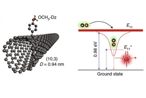 June 18, 2018
Carbon nanotube
Depiction of a carbon nanotube defect site generated by functionalization of a nanotube with a simple organic molecule. Altering the electronic structure at the defect enables room-temperature single photon emission at telecom wavelengths.