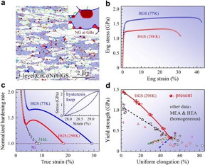 A. Multilevel heterogeneous structure of single-phase CrCoNi medium entropy alloy after tensile test: Micrometer-sized grains (white), submicron grains (blue), nanograins (colored). Nanograin forms at grain boundaries of submicron grains. B. Tensile properties. C. Normalized work hardening rate. D. Combination of yield strength and uniform elongation.
CREDIT
WU Xiaolei