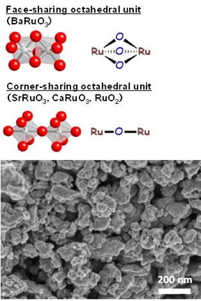 Top: Schematic representations of the face-sharing unit in rhombohedral BaRuO3 and corner-sharing unit in tetragonal RuO2, cubic SrRuO3, and orthorhombic CaRuO3. Bottom: Scanning electron microscope (SEM) image of BaRuO3.
CREDIT
Keigo Kamata