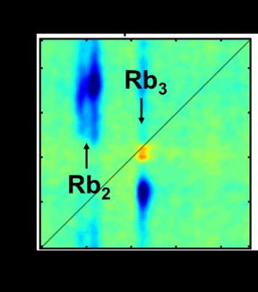 2D-spectroscopy illustrates the light-induced reactions of Rubidium molecules in various color spectrums.

CREDIT
Illustration: Lukas Bruder