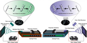 A Summary of Electrospun Nanofibers as Drug Delivery System: Drugs Loaded and Biopolymers Used as Matrices

CREDIT
Jos Manuel Cornejo Bravo et al., Bentham Science Publishers