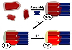 In this illustration, DPP and rylene dye molecules come together to create a self-assembled superstructure. Electrons within the structure absorb and become excited by light photons, and then couple with neighboring electrons to share energy and create additional excited electrons that can be harvested to create solar cells.

CREDIT
Andrew Levine