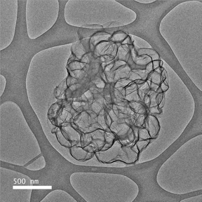 Oil in a graphene network
Kristin Samuelson