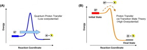 (A) proton tunneling through the barrier (quantum). (B) proton transfer via the transition state (classical); In the electrochemical system the relative contribution of the two mechanisms can be tuned by the applied potential.

CREDIT
NIMS