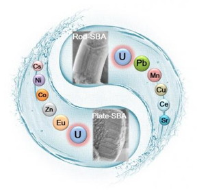 A schematic illustration of the efficient sorption of uranium from aqueous solutions by mesoporous silica SBA-15 with various morphologies. The mesostructures including morphologies and pore length of SBA-15 perform the dominant function for the fast sorption kinetics, while the modified amidoxime groups make the excellent U(VI) sorption capacities and high selectivity possible.

CREDIT
Author