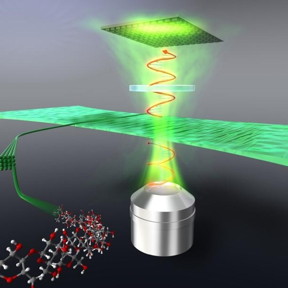 Control of optical retardation by the aligned cellulose film.

CREDIT
Osaka University