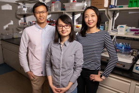 Materials science and engineering professor Qian Chen, center, and graduate students Binbin Luo, left, and Ahyoung Kim find inspiration in biology to help investigate how order emerges from self-assembling building blocks of varying size and shape.

CREDIT
Photo by L. Brian Stauffer

