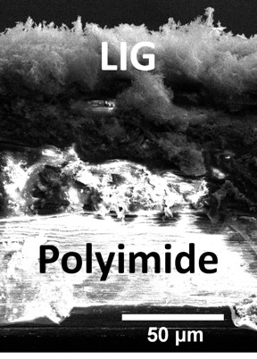 An electron microscope image shows a cross-section of a laser-induced graphene and polyimide composite created at Rice University for use as a triboelectric nanogenerator. The devices are able to turn movement into energy that can then be stored for later use. (Credit: Tour Group/Rice University)

