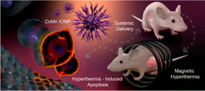 Graphic depiction of the process of using cobalt- and manganese-doped nanoparticles to kill tumors via magnetic hyperthermia.

CREDIT
Tetiana Korzun