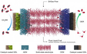 This schematic shows the electrolyzer developed at Rice University to reduce carbon dioxide, a greenhouse gas, to valuable fuels. At left is a catalyst that selects for carbon dioxide and reduces it to a negatively charged formate, which is pulled through a gas diffusion layer (GDL) and the anion exchange membrane (AEM) into the central electrolyte. At the right, an oxygen evolution reaction (OER) catalyst generates positive protons from water and sends them through the cation exchange membrane (CEM). The ions recombine into formic acid or other products that are carried out of the system by deionized (DI) water and gas. (Credit: Illustration by Chuan Xia and Demin Liu/Rice University)