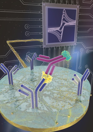 Central to eRapids success is an antifouling coating on top of the electrode that is permeated by conductive components. When a target (yellow) binds to its probe (purple), it attracts a secondary probe (magenta) that initiates the precipitation of a compound onto the electrode, generating an electrical signal that reports the concentration of the target molecule. Credit: Wyss Institute at Harvard University