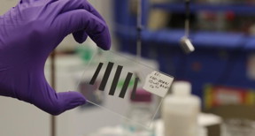 Texas A&M doctoral student Paraskevi Flouda holds sample of new electrode.

CREDIT
Texas A&M Engineering