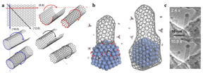 (a) Carbon nanotubes (CNTs) could be viewed as single-atom layer thick graphene sheets rolled into a cylinder. Different directions of rolling determine CNTs' properties. (b) Schematic diagram showing a carbon nanotube's lifetime during chemical vapor deposition synthesis. Transition metals (blue structure) serve as catalysts, critical to elongate the CNT (left), until the carbon concentration on the catalyst surface becomes so abundant that the nanoparticle gets encapsulated by graphitic or amorphous carbon, forming a "cap" at the end of the cylinder and ending the growth of the CNT (right). (c) Environmental transmission electron microscope images of a CNT taken at different times during growth. The CNT contains a cobalt nanoparticle on its top end, a typical feature of tip-growth.

CREDIT
IBS