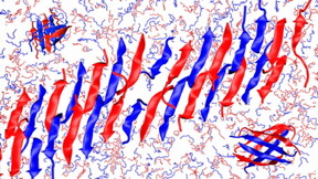 It's well established that peptides can self-assemble into nanofibers composed of beta-sheets. However, that self-assembly has previously involved identical copies of the same molecule -- molecule A connects to another molecule A. New work proves not only that alternating peptides can create these beta sheets -- in an ABAB pattern -- but why it happens. This image is an adaptation of computer simulation of the CATCH(+) and CATCH(-) mixture of peptides.

CREDIT
Greg Hudalla