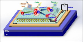 Trion optical gain mechanism in electrically gated 2D materials: Exciton produced by a pump laser combined to form a trion. A weak probe light bounces off the trion gets amplified by emitting a photon and an electron.

CREDIT
by Zhen Wang, Hao Sun, Qiyao Zhang, Jiabin Feng, Jianxing Zhang, Yongzhuo Li, and Cun-Zheng Ning