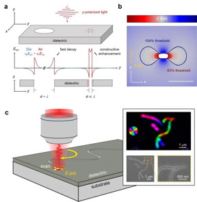 a, Schematic plot of the evanescent wave (Eew) around two nanoholes with different sizes on a dielectric. For the larger nanohole with a diameter comparable to the wavelength, the evanescent fields at each edge of the nanohole are independent and decay rapidly from the boundary. For the smaller nanohole with a deep-subwavelength aperture, the strong interaction between the two boundaries constructively enhances the optical intensity inside the nanohole and confines the light on a deep-subwavelength scale. b, Simulations of the E-field strength distribution for a titanium oxide film with a nanohole shown by the central white-out region (the intensity of the light inside the nanohole is close to maximum but is not shown for a better visualization). c, Schematic of the direct nanowriting of O-FIB (left) and the image of the free-form patterning obtained by birefringence microscope (right, upper) and scanning electron microscope (right, lower).

CREDIT
by Zhen-Ze Li, Lei Wang, Hua Fan, Yan-Hao Yu, Qi-Dai Chen, Saulius Juodkazis and Hong-Bo Sun