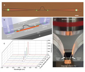 a, optical image of a hybrid MZI structure under excitation. b, the schematic configuration of the on-chip nanowire laser. A CdS nanowire is used as the gain material and is evanescently coupled to an ?-shaped SiN waveguide at both sides to form a hybrid MZI structure. In the coupling area, SiN waveguide bends are predesigned to ensure a high coupling efficiency with excellent reproducibility. Fibre-to-chip grating couplers are designed at both ends of the SiN waveguide, which couple the laser signal from the on-chip SiN waveguide into standard optical fibres for optical characterization. c, Lasing spectra obtained at different pumping intensities above the threshold. The dominant lasing peak is centered at a wavelength of approximately 518.9 nm with a linewidth of approximately 0.1 nm. The side-mode suppression ratio increases with increasing pumping intensity and realizes a maximum value of approximately a factor of 20 (13 dB). d, optical image of the measurement setup under an optical microscope. The measurement setup uses output fibres to collect signals out of the chip via fibre-to-chip grating couplers.

CREDIT
by Qingyang Bao, Weijia Li, Peizhen Xu, Ming Zhang, Daoxin Dai, Pan Wang, Xin Guo, and Limin Tong