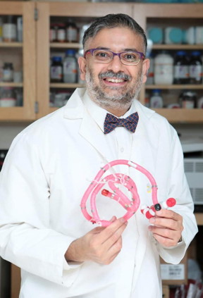 Mahesh Narayan, Ph.D., along with and Sreeprasad Sreenivasan, Ph.D. (not pictured), has developed a nanohybrid vehicle that can be used to optimally deliver drugs into the human body. Both researchers are faculty members in in UTEP's Department of Chemistry and Biochemistry.

CREDIT
Mahesh Narayan.