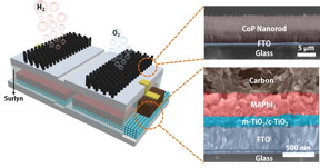 A schematic and electron microscope cross-section show the structure of an integrated, solar-powered catalyst to split water into hydrogen fuel and oxygen. The module developed at Rice University can be immersed into water directly to produce fuel when exposed to sunlight. (Credit: Illustration by Jia Liang/Rice University)