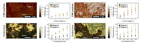 Figure. AFM images of (a, c) samples A and (b, d) B. (a, b) Topographic height images and (c, d) friction force images, respectively. All images were acquired with a tip loading force of 400 nN. Red lines are guides for the eye.

CREDIT
KAIST