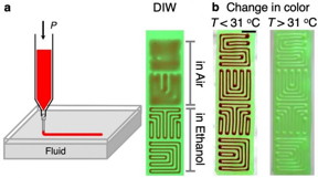 Concept of embedded ink writing (EIW). A polysiloxane ink is printed by a direct ink writing (DIW) 3D printer in Newtonian fluids as embedding media. The surrounding liquid media allow the inks to maintain larger contact angles (> 100o) on the substrates. Inks for EIW can be functionalized by suspending functional microparticles (e.g., embedding thermochromic leuco dye microparticles).

CREDIT
SUTD