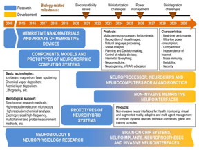 Roadmap for memristive neuromorphic and neurohybrid systems

CREDIT
Lobachevsky University