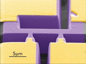 Scanning electron microscope image of a PdCoO2 microstructure to measure c-axis resistivity.

CREDIT
 MPI CPfS