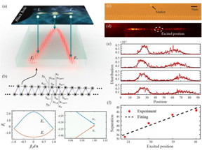 (a) The schematic of mapping the behavior of fermion pair into a photonic lattice. (b) The designed bi-layer waveguide lattice and the corresponding dispersion relation. (c) The cross-section profile of the fabricated lattices. (d) The imagined output probability distribution of single-photon wave packet splitting to two parts and moving in opposite direction. (e) The output probability distributions with different excited positions in the same lattice. (f) The separation distance increases with the excited position linearly.

CREDIT
Science China Press

