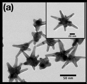 A close-up view of a handful of nanostars used to create a new type of cancer diagnostic.

CREDIT
Tuan Vo-Dinh, Duke University