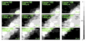 Researchers developed a high-resolution x-ray imaging technique based on ghost imaging that can capture the motion of rapidly moving objects. They used it to create a movie of a blade rotating at 100,000 frames per second.

CREDIT
Sharon Shwartz, Bar-Ilan University