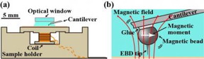 Experimental setup used for the developed magnetic excitation system. (a) Cross-sectional view of the sample holder. (b) Magnified view of the cantilever free end with a magnetic bead and an EBD tip.

CREDIT
Scientific Reports