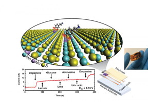 Schematic of a highly selective dopamine detector using two-dimensional material.

CREDIT
Derrick Butler, Penn State